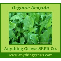 Arugula - Astro - Organic